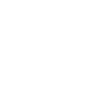 pin-icon