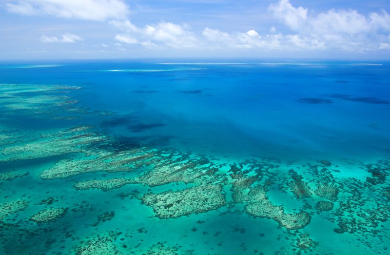 Full Day Outer Great Barrier Reef Tour