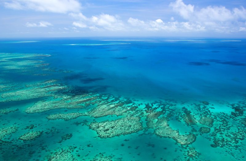 Reef-Pontoon-Tours - Cozie homes