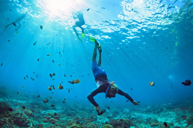 Reef-Tours-From-Cairns - Cozie homes
