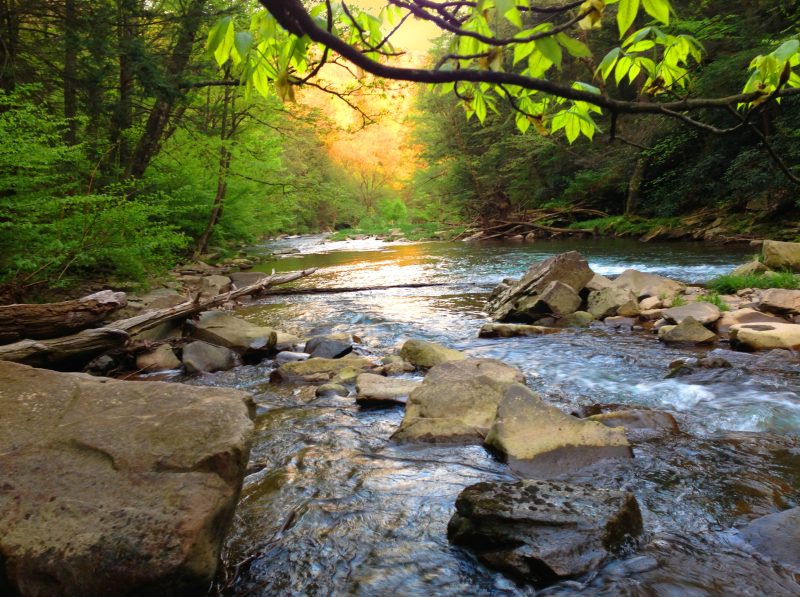 Full-Day Cairns Waterfalls Tour
