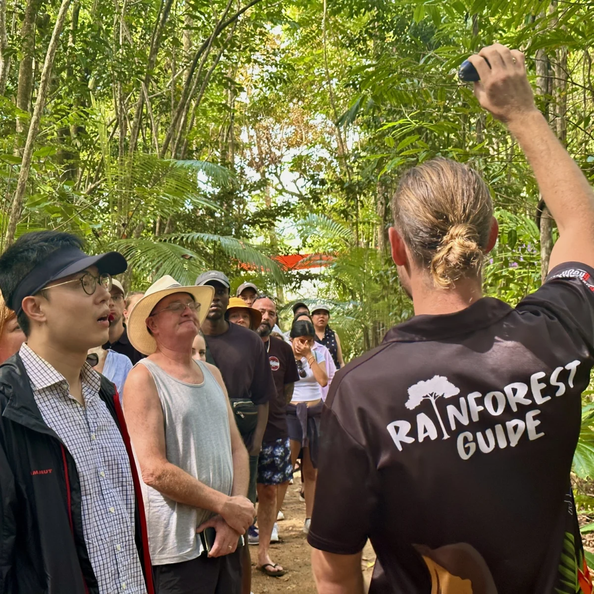 Guided Rainforest Walk