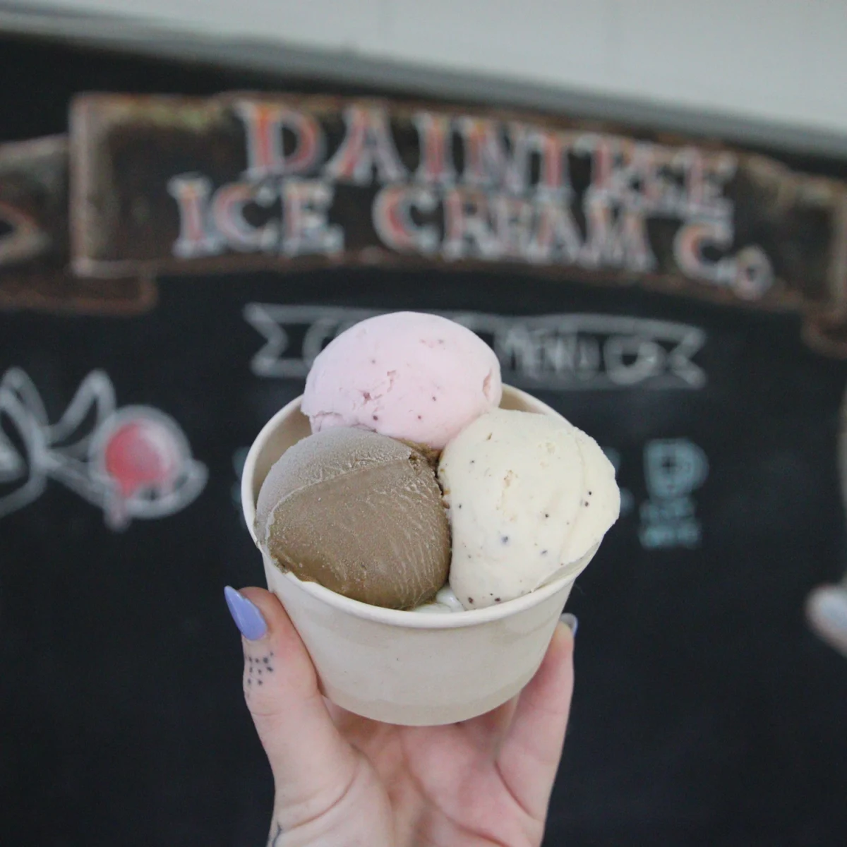 Daintree Ice Cream