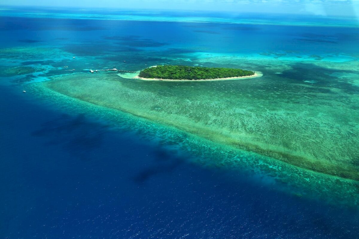 Island and Fringing Reef Aerial