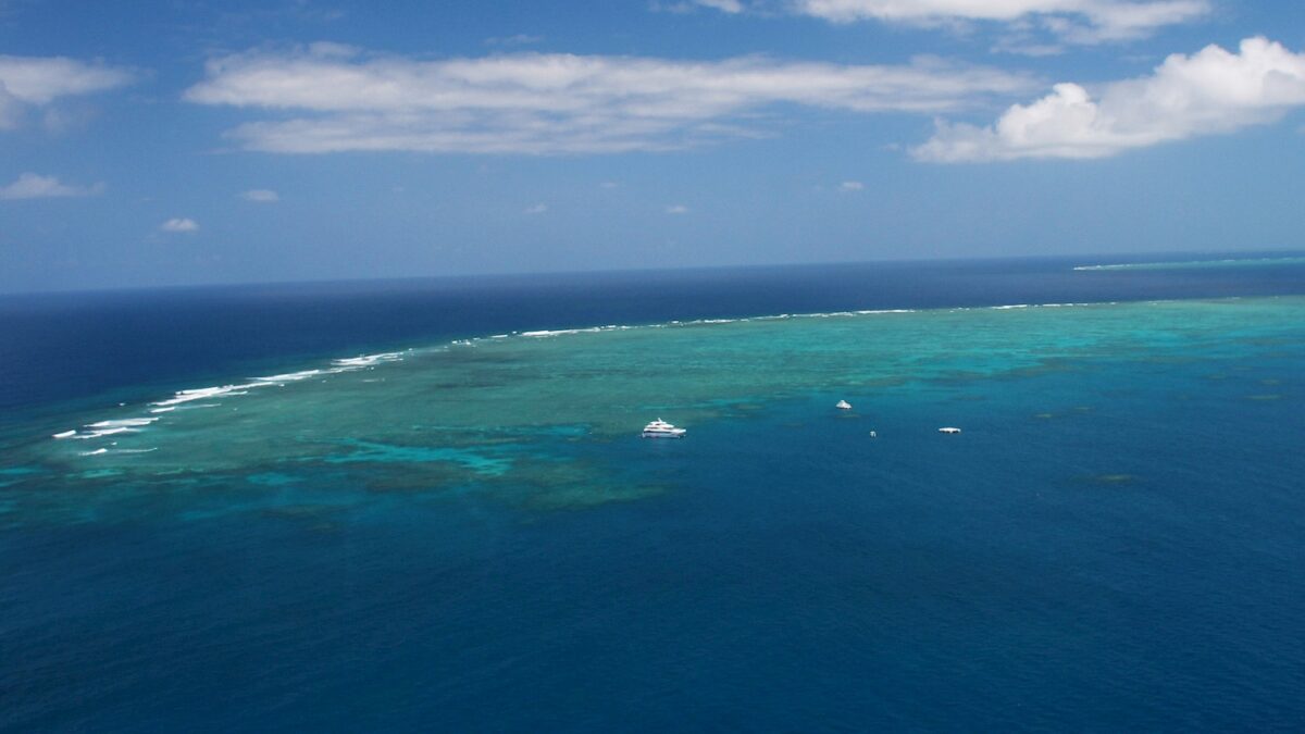 Outer Reef Panorama