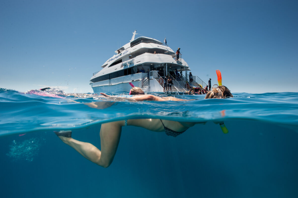 Snorkelling beside Evolution