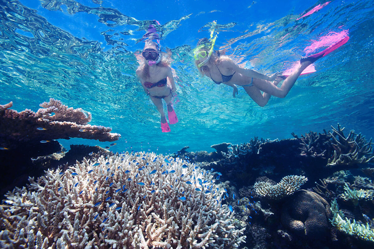 Snorkelling over Coral