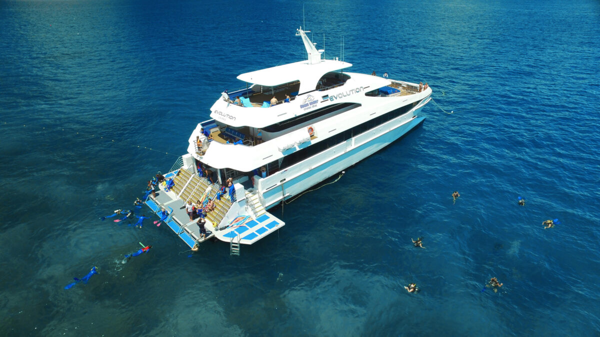 Evolution at the Outer Reef