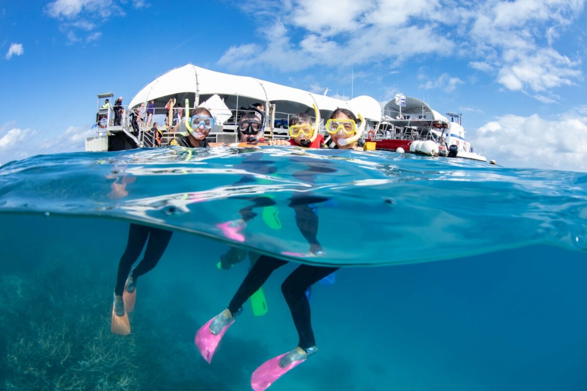 Snorkellers at the Reef Platform