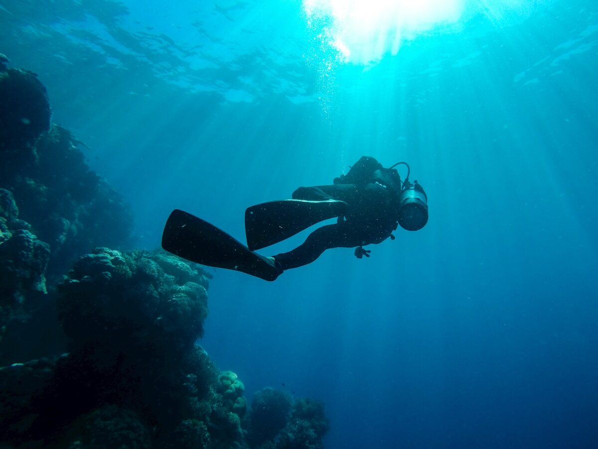 Diver Silhouette