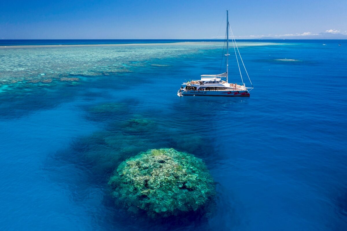 Reef and Catamaran Panorama
