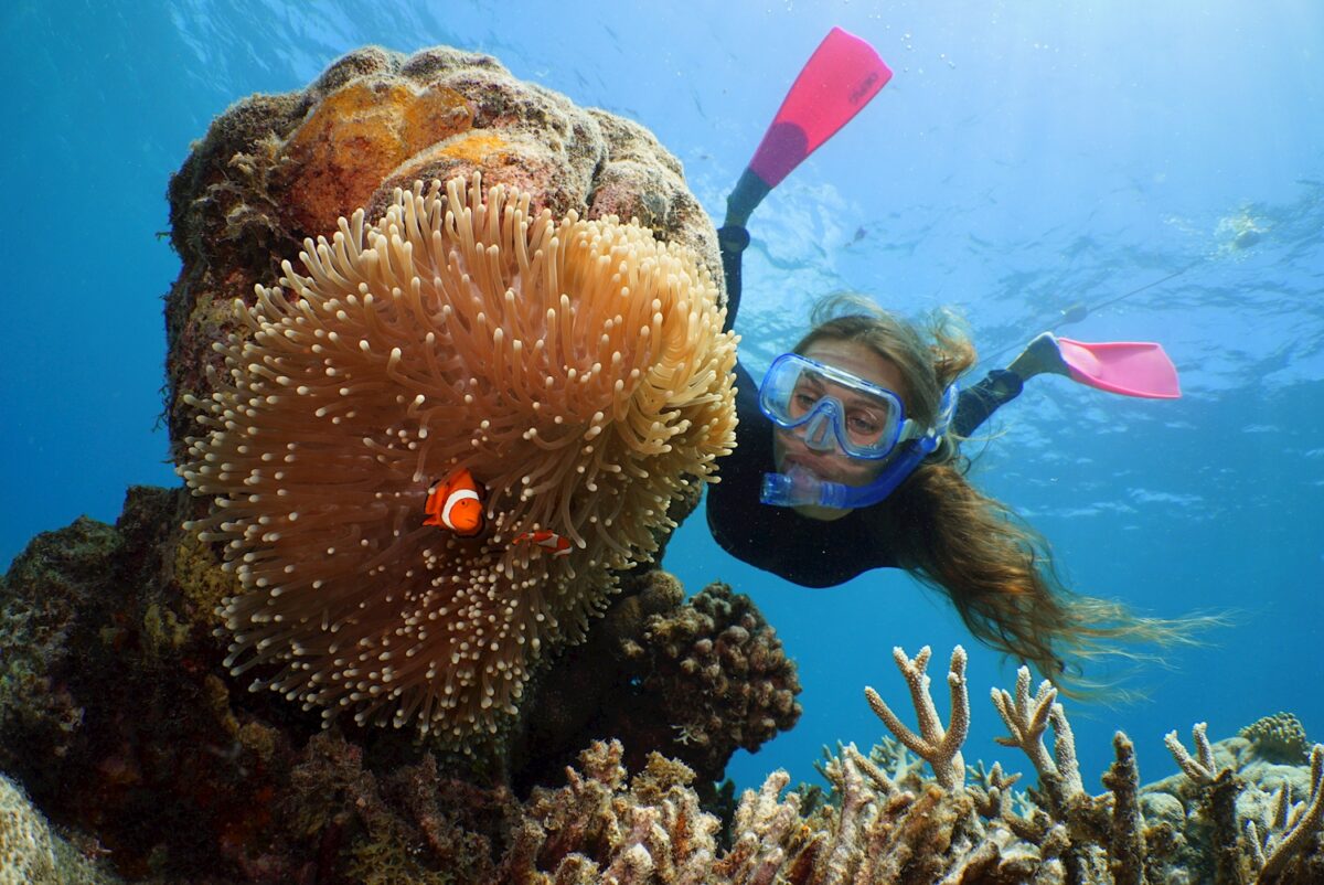 Snorkeller and Clownfish