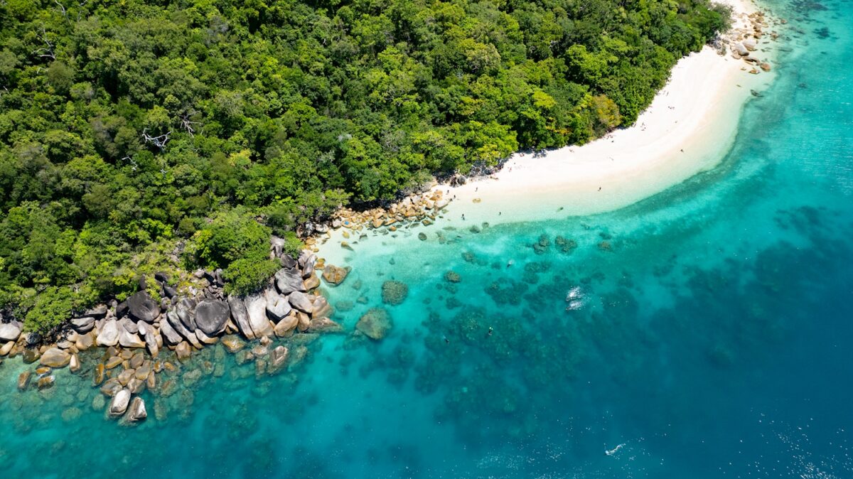 Beach and Reef Aerial