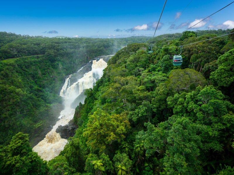 Tropic Wings Classic Kuranda Experience