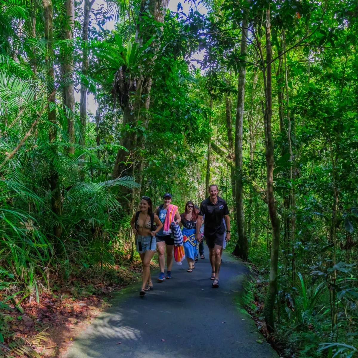 Rainforest Walking Group